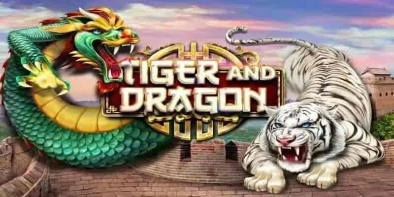 Cách soi cầu trò Rồng Hổ chuẩn nhất